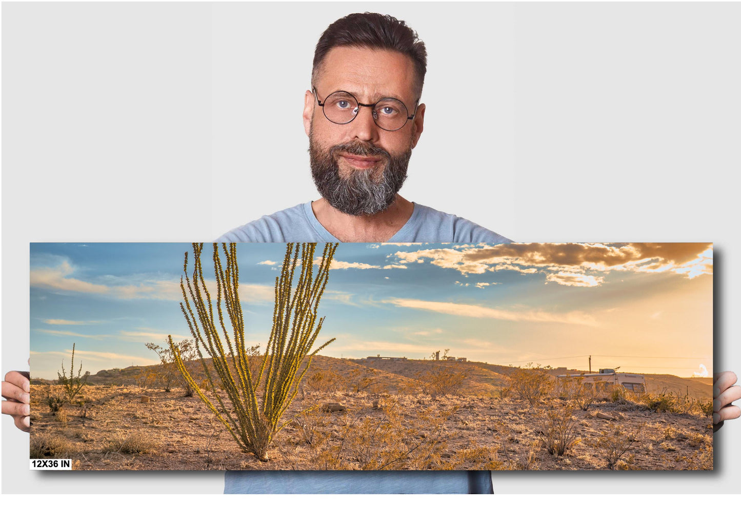 Big Bend Ocotillo Art Print - Terlingua Texas Desert Photography Wall Decor on Canvas, Wood, & Metal – Unique Home Decor