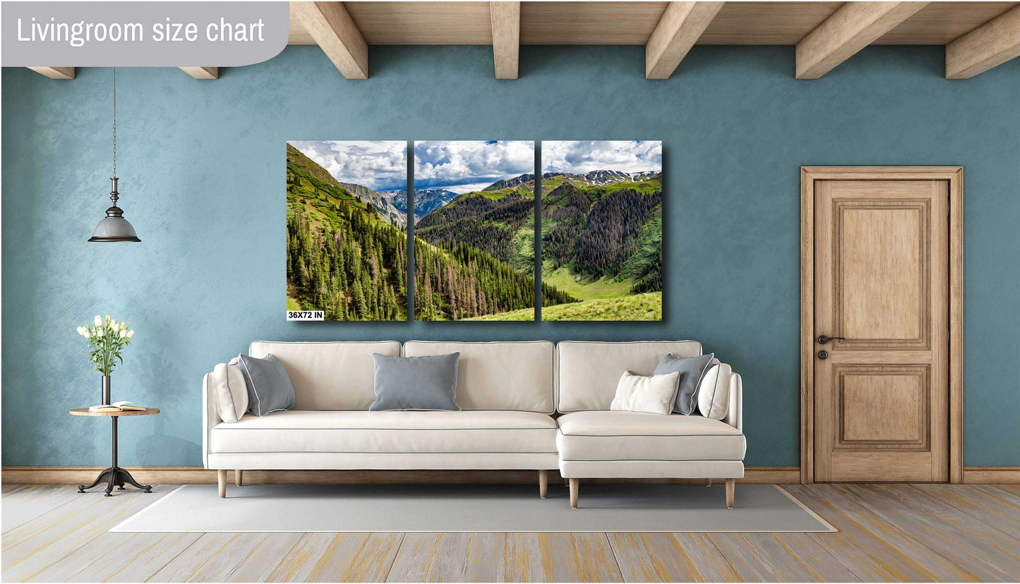 Rocky Mountains Colorado: Cinnamon Pass Summit View Landscape Photography, Silverton/Ouray Alpine Print, Wall Art Decor
