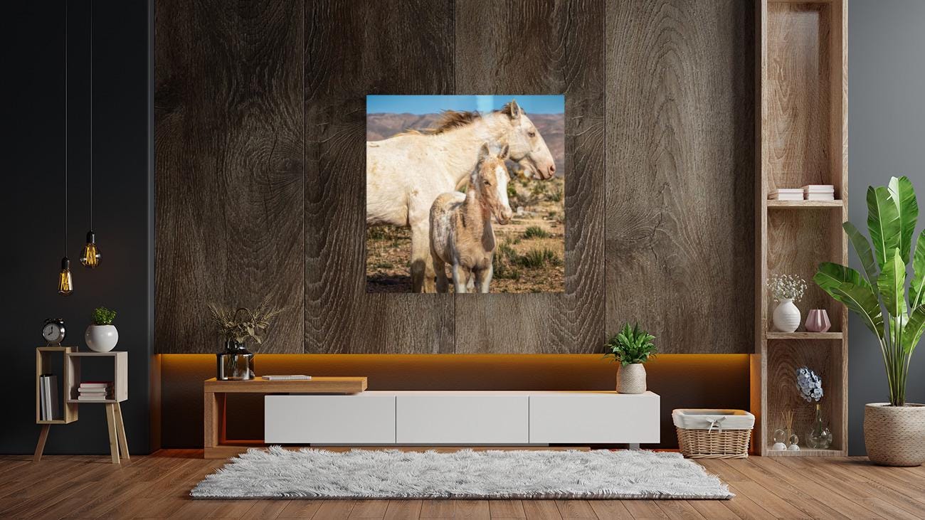 Wild Horse Photography Art Print | Wild Mare & Foal near Goodsprings, Nevada | Mojave Desert Wall Decor | Unique Horse Photo for Home