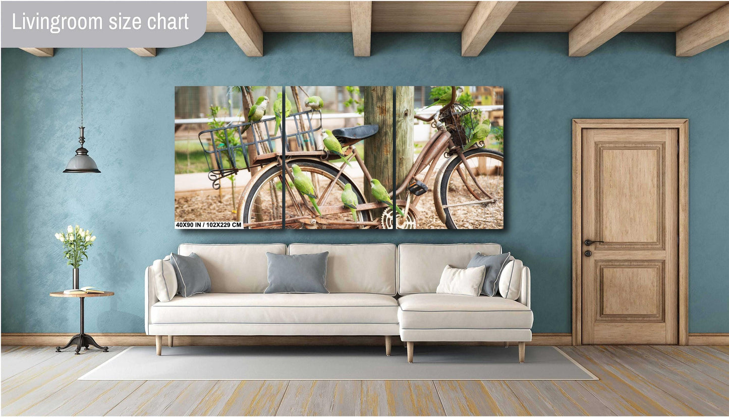 Parrot Wall Art - Antique Bicycle Covered in Quaker Parrots | Fine Art Photo Print, Canvas, Acrylic & Metal Decor for Bird Lovers