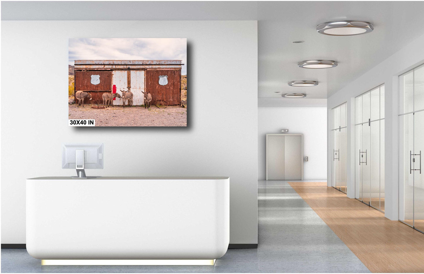 Route 66 Oatman Burros Wall Art - Americana Donkeys Print for Route 66 Fans, Arizona Decor in Photo Paper, Canvas, Acrylic or Metal