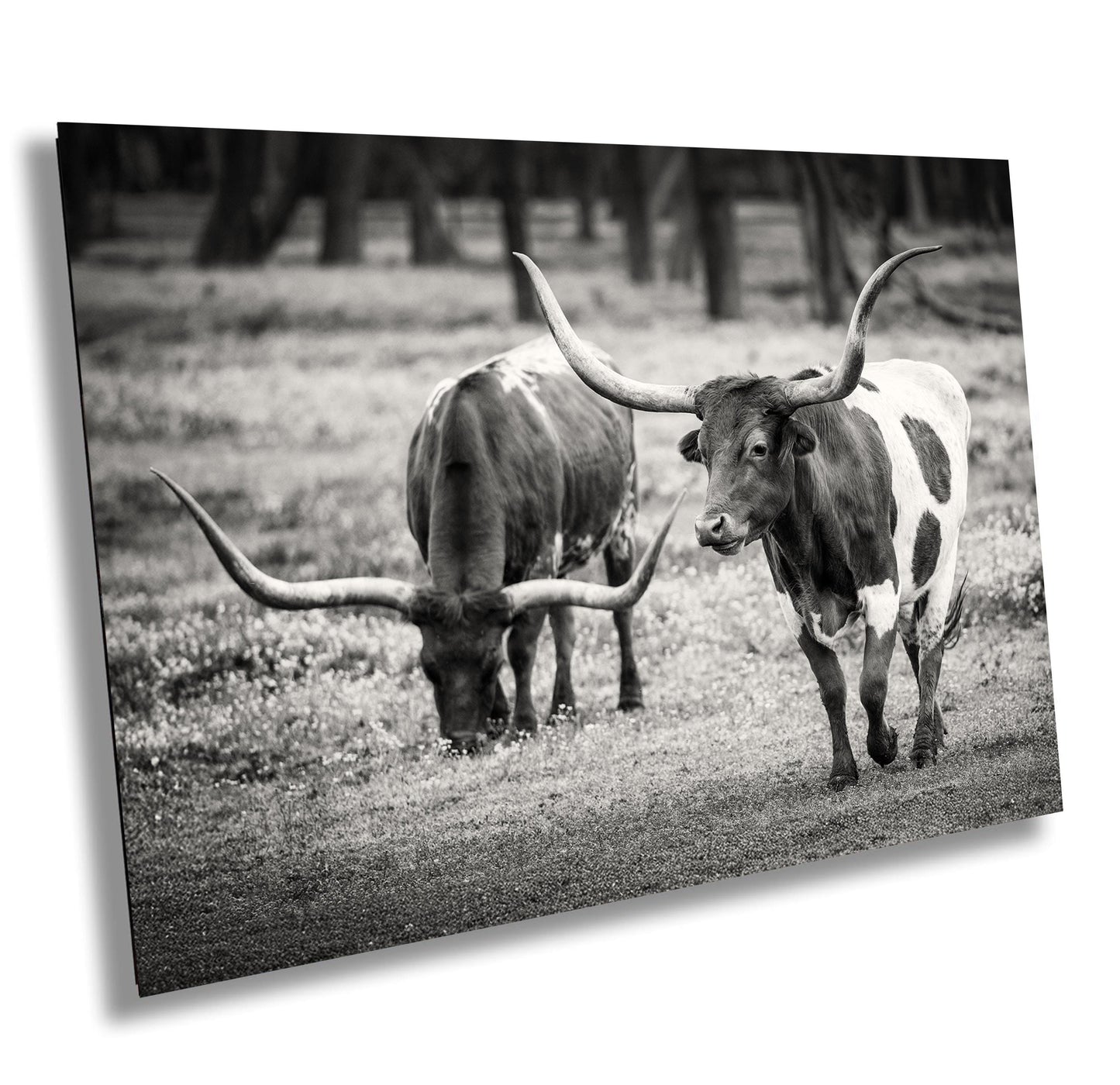 Cowboy Wall Art - Rustic Longhorn Cow Print: Modern Ranch Wall Art for Farmhouse Decor (Paper/Canvas/Acrylic/Metal)