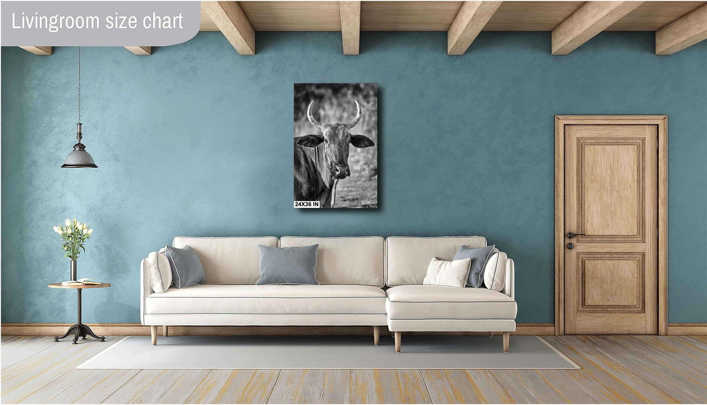 Farmhouse Wall Decor: Rustic Bull Print, Highland Cattle Photography on Canvas, Paper, Acrylic or Metal