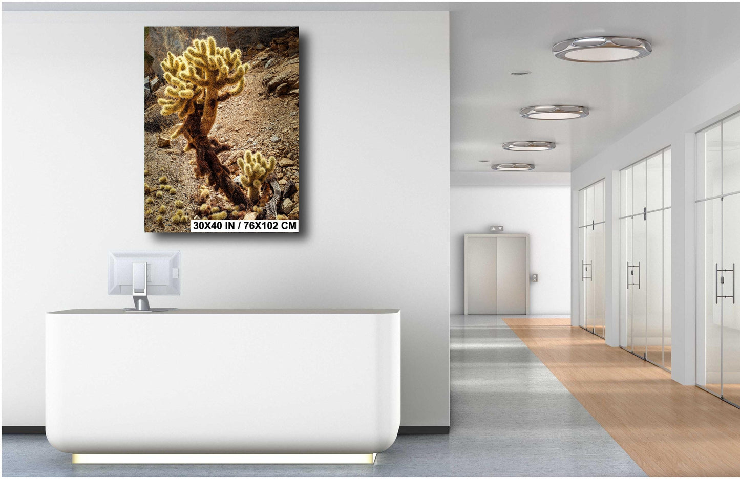 Cactus Print Wall Art - Teddy Bear Cholla Photo Poster - Arizona Nevada California Desert Cactus Decor on Paper, Canvas, Acrylic, or Metal