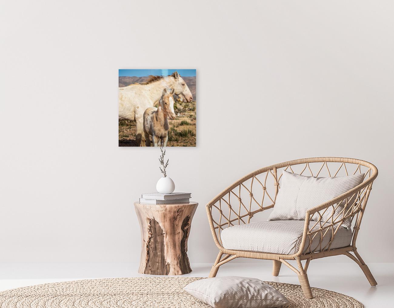 Wild Horse Photography Art Print | Wild Mare & Foal near Goodsprings, Nevada | Mojave Desert Wall Decor | Unique Horse Photo for Home