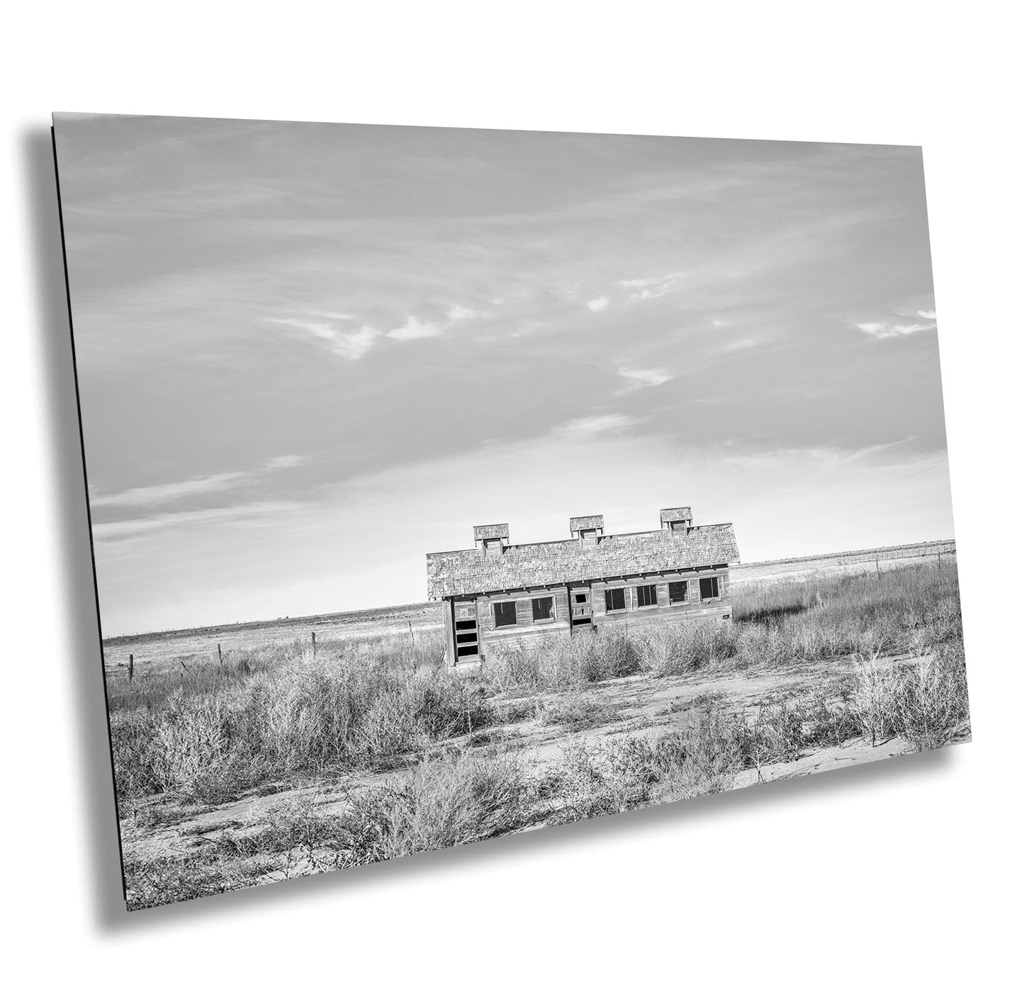 Farmhouse Wall Decor - Rustic Texas Farmstead B&W Print of Abandoned Homestead and Chicken House Rural Landscape Art