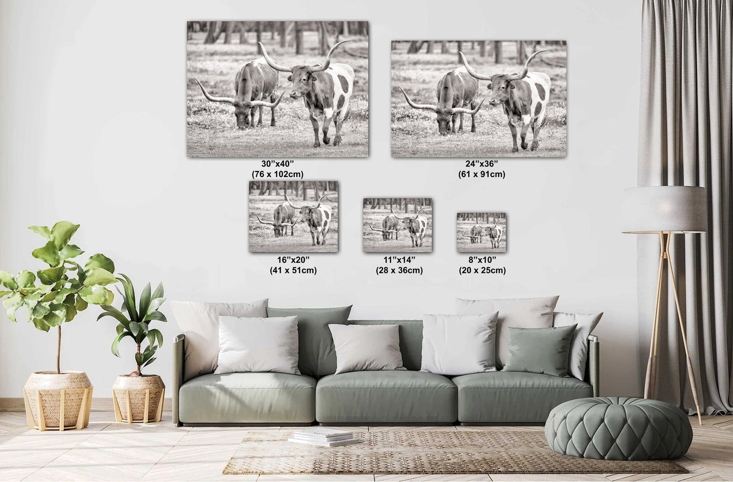 Longhorn Cow Photo | Rustic Ranch Wall Art for Farmhouse Decor | Modern Prints on Paper, Canvas, Acrylic & Metal