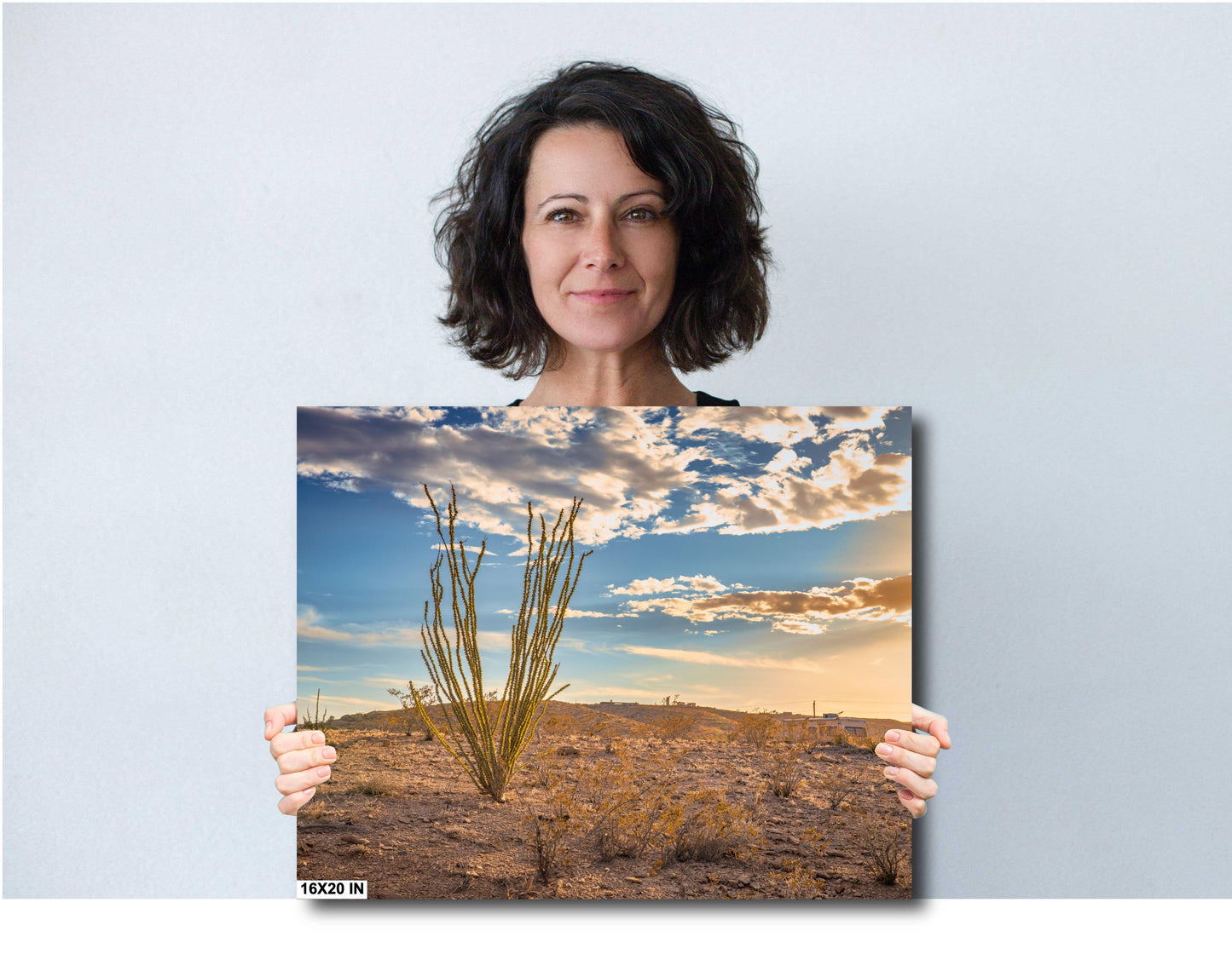 Big Bend Ocotillo Art Print - Terlingua Texas Desert Photography Wall Decor on Canvas, Wood, & Metal – Unique Home Decor