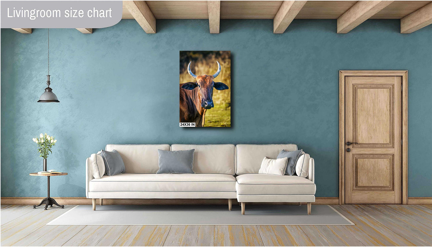 Farmhouse Wall Art - Rustic Cow Photography: Bull Print Wall Art Decor on Paper, Canvas, Acrylic & Metal