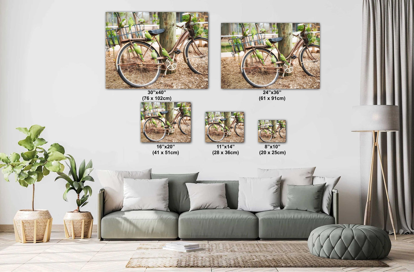 Parrot Wall Art - Antique Bicycle Covered in Quaker Parrots | Fine Art Photo Print, Canvas, Acrylic & Metal Decor for Bird Lovers