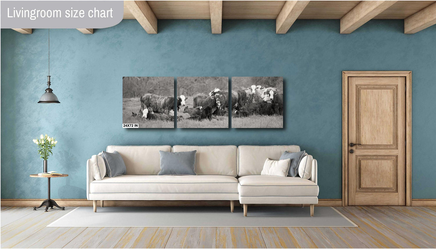 Country Wall Art - Rustic Black and White Cattle Photo Print - Cows & Calves Farm Art for Country Decor in Paper, Canvas, Acrylic or Metal