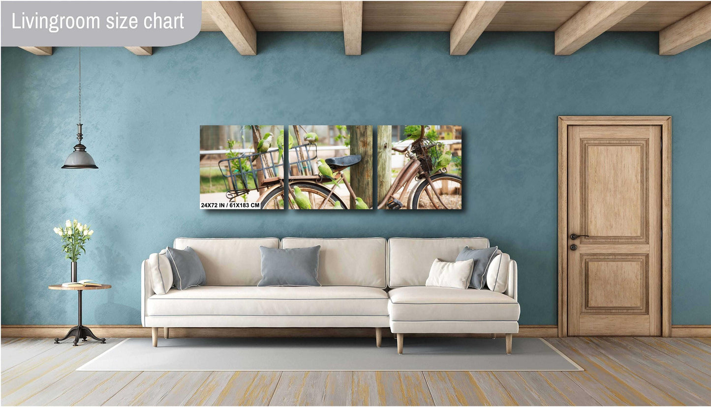 Parrot Wall Art - Antique Bicycle Covered in Quaker Parrots | Fine Art Photo Print, Canvas, Acrylic & Metal Decor for Bird Lovers