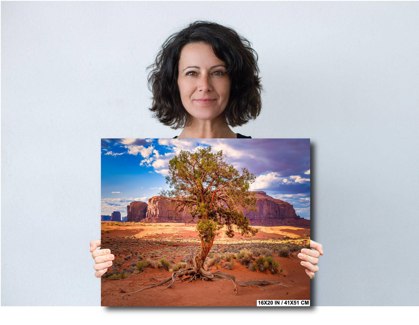 Monument Valley Poster - Gnarled Juniper Tree, Arizona Landscape Photo on Canvas, Metal, Acrylic & Photo Paper Decor