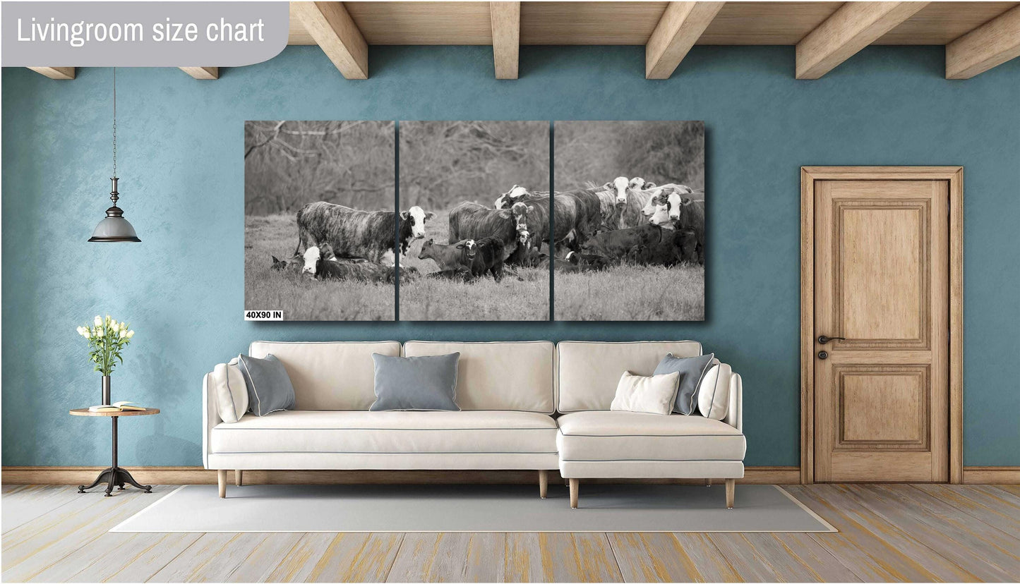 Country Wall Art - Rustic Black and White Cattle Photo Print - Cows & Calves Farm Art for Country Decor in Paper, Canvas, Acrylic or Metal
