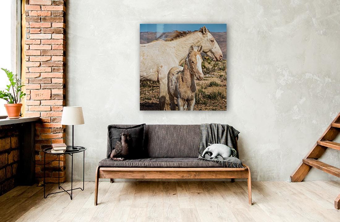 Wild Horse Photography Art Print | Wild Mare & Foal near Goodsprings, Nevada | Mojave Desert Wall Decor | Unique Horse Photo for Home