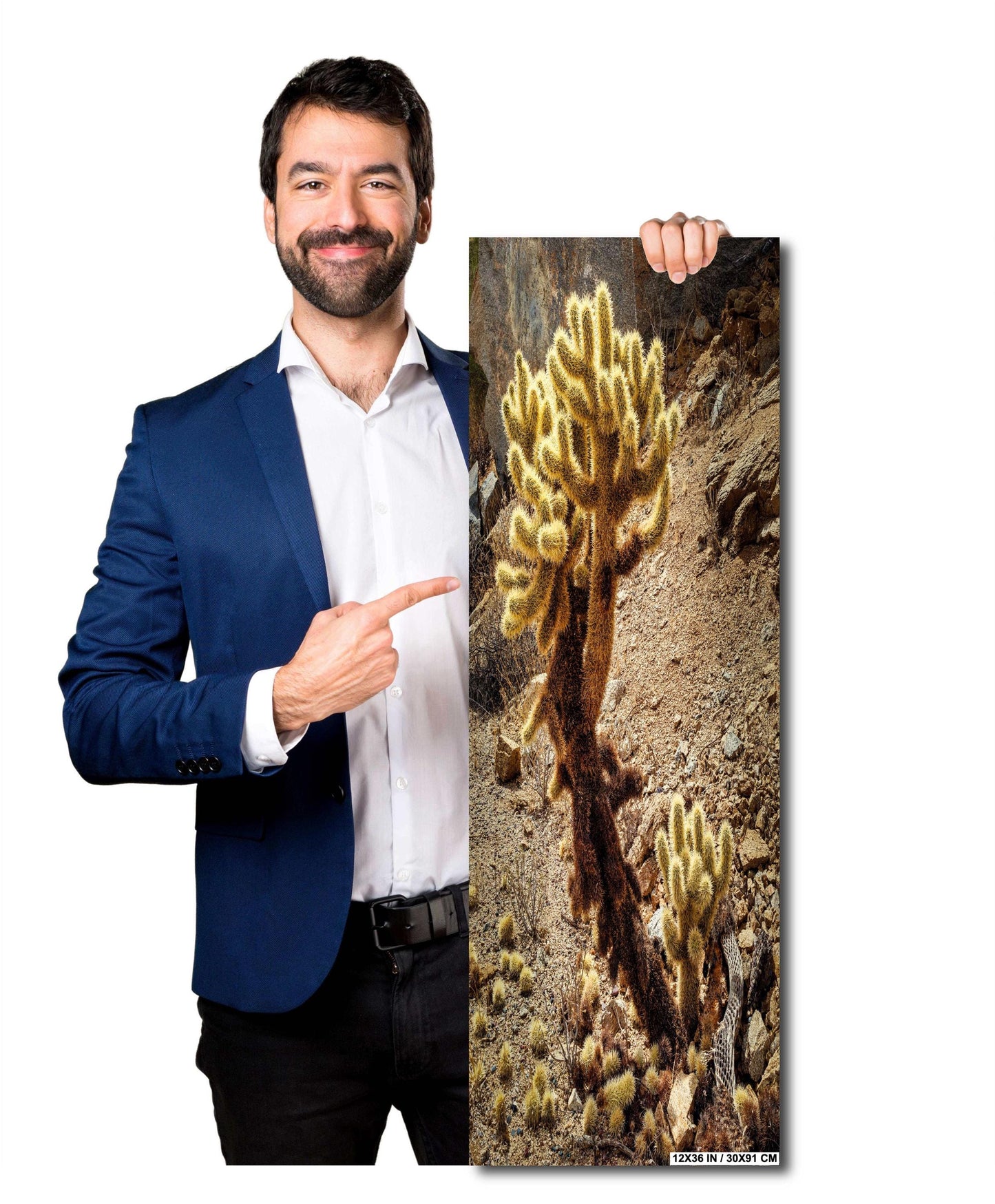 Cactus Print Wall Art - Teddy Bear Cholla Photo Poster - Arizona Nevada California Desert Cactus Decor on Paper, Canvas, Acrylic, or Metal