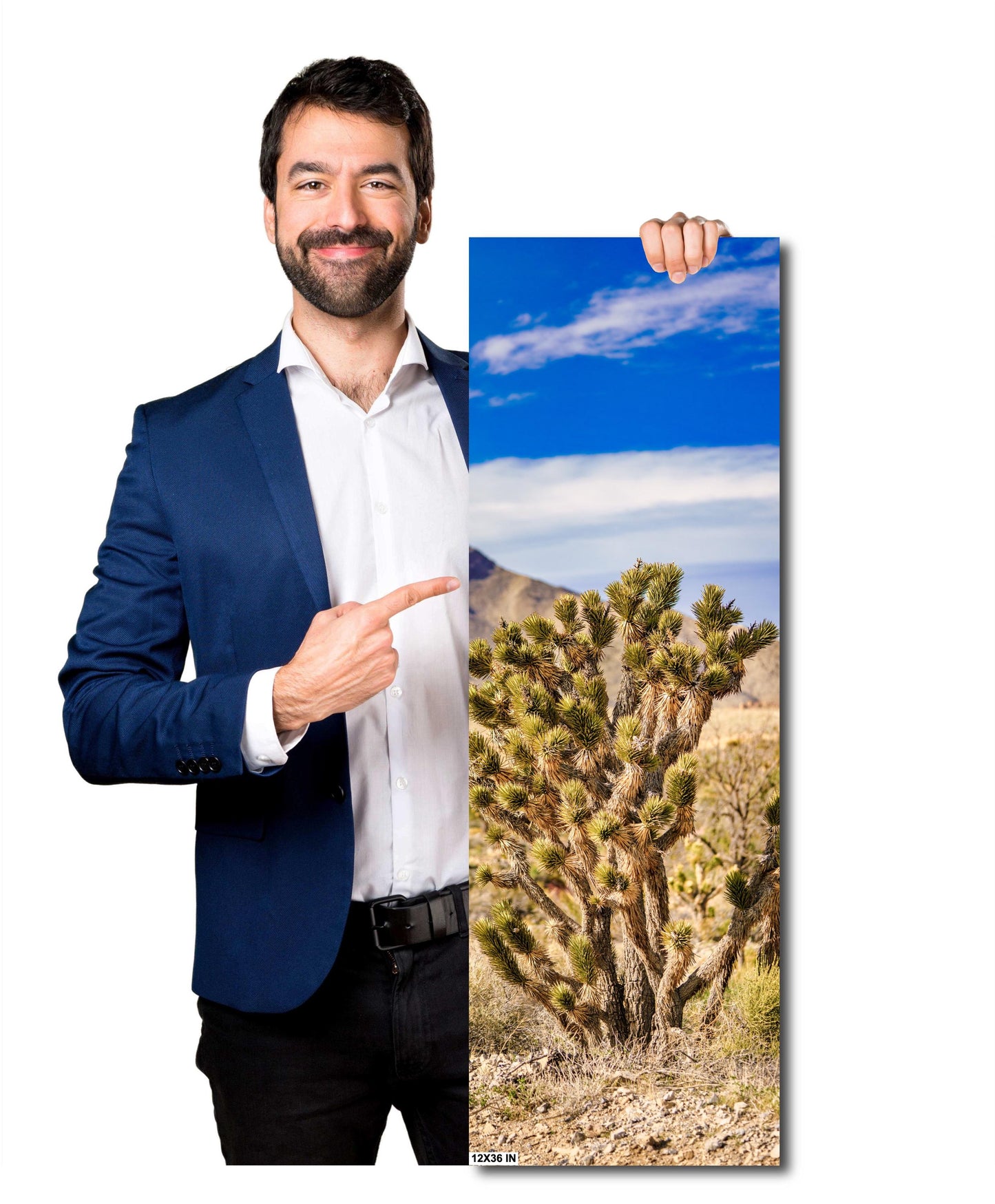 Joshua Tree Nevada Desert Landscape Fine Art Photography Print - Wall Decor on Various Media