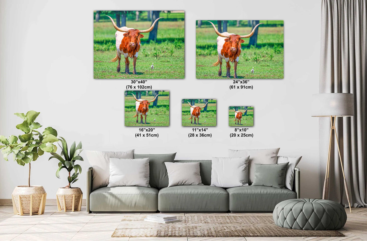 Longhorn Steer Springtime Photograph | Texas Photography Art Print | High Quality Canvas, Acrylic & Metal Options