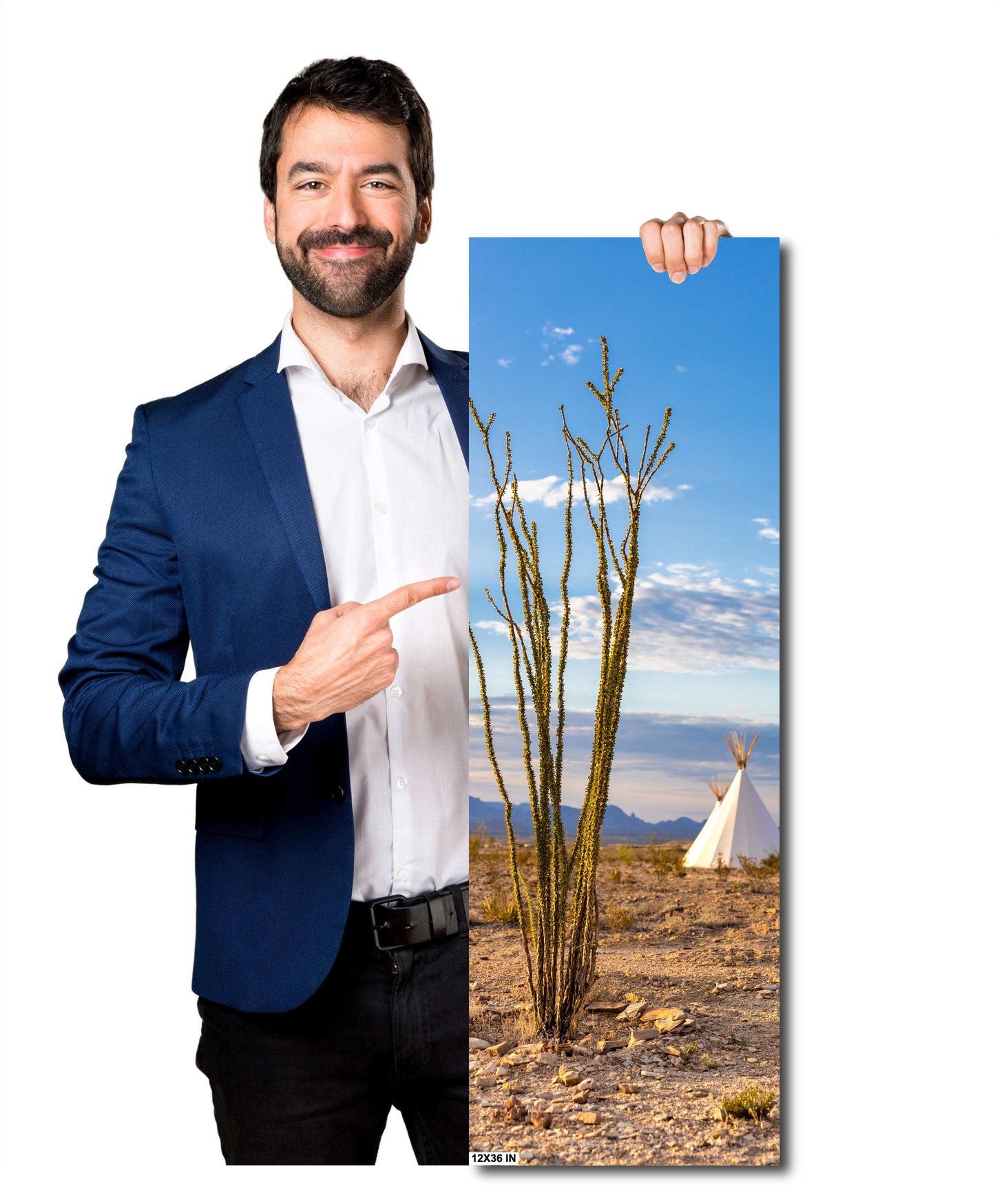 Terlingua Texas Ocotillo Tipi Print - Desert Landscape Photography Wall Art for Southwestern Home Decor