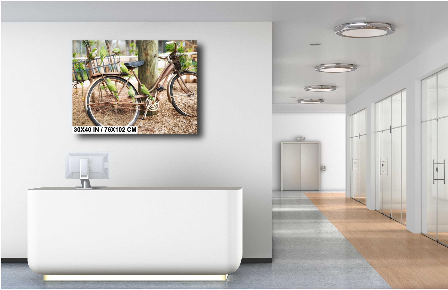 Parrot Wall Art - Antique Bicycle Covered in Quaker Parrots | Fine Art Photo Print, Canvas, Acrylic & Metal Decor for Bird Lovers