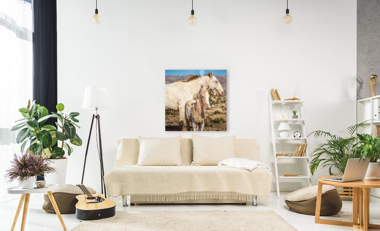 Wild Horse Photography Art Print | Wild Mare & Foal near Goodsprings, Nevada | Mojave Desert Wall Decor | Unique Horse Photo for Home
