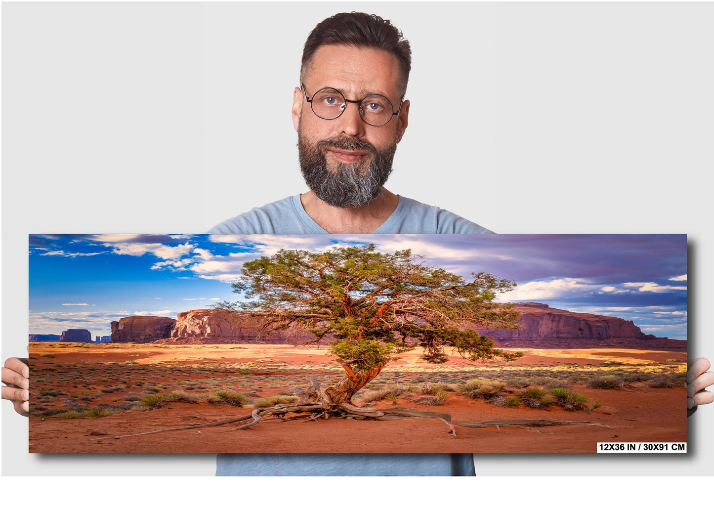 Monument Valley Poster - Gnarled Juniper Tree, Arizona Landscape Photo on Canvas, Metal, Acrylic & Photo Paper Decor