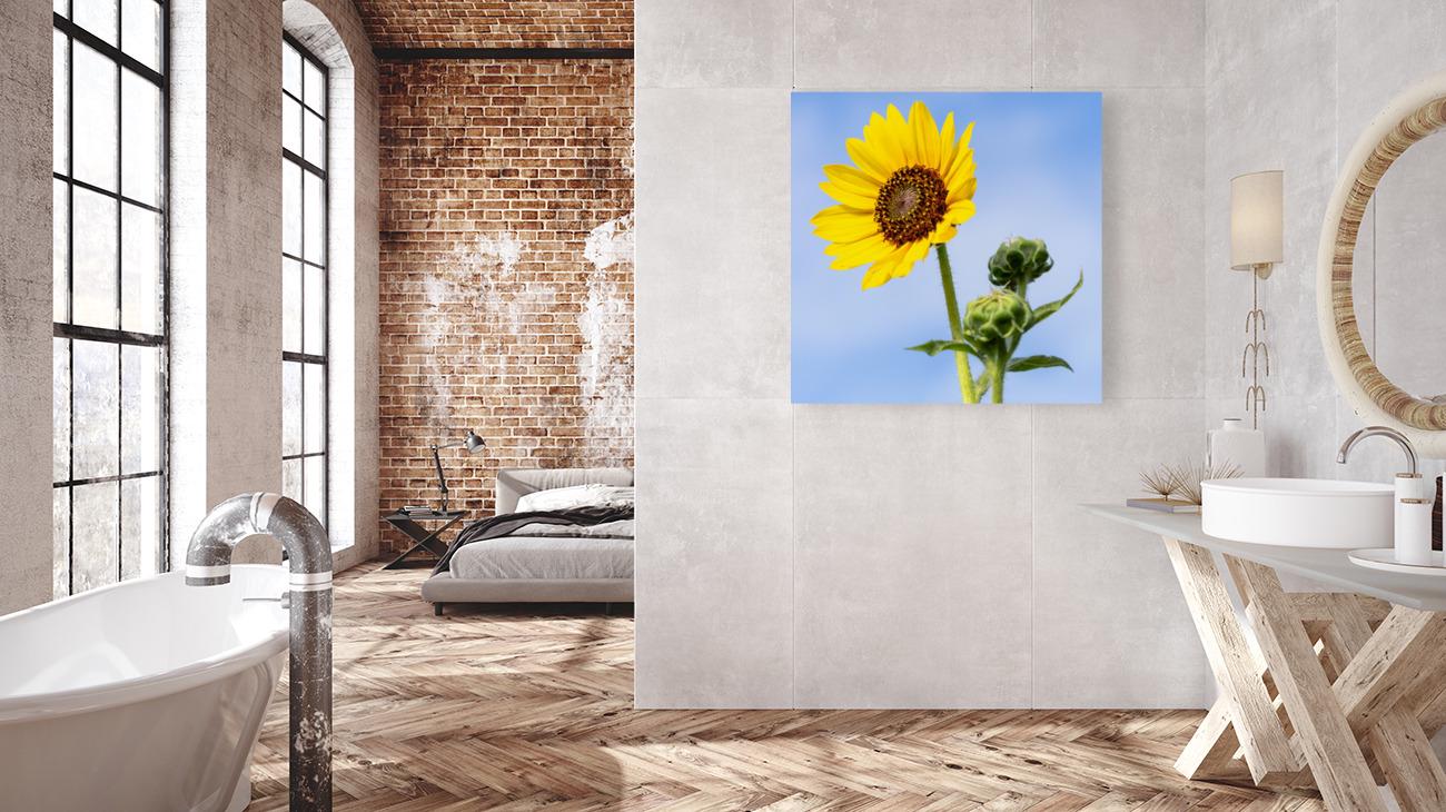 Sunflower Photo Print | Farmhouse Wall Art, Bright Nature Botanical Digital Artwork for Home Decor, Large Canvas or Paper