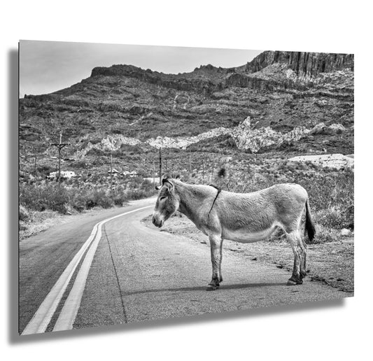 Route 66 Donkey: Arizona Desert Landscape Photo Print - Black & White Americana Wall Art for Home Decor, Vintage Style Decor