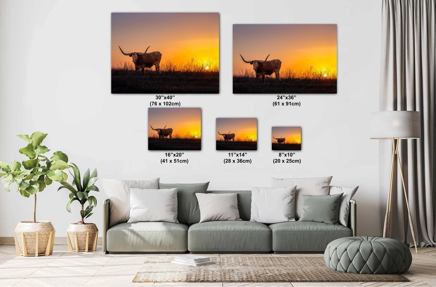 Texas Longhorn Steer at Sunset Wall Decor - Backroad Bull Photography on Premium Paper, Canvas, Acrylic, or Metal