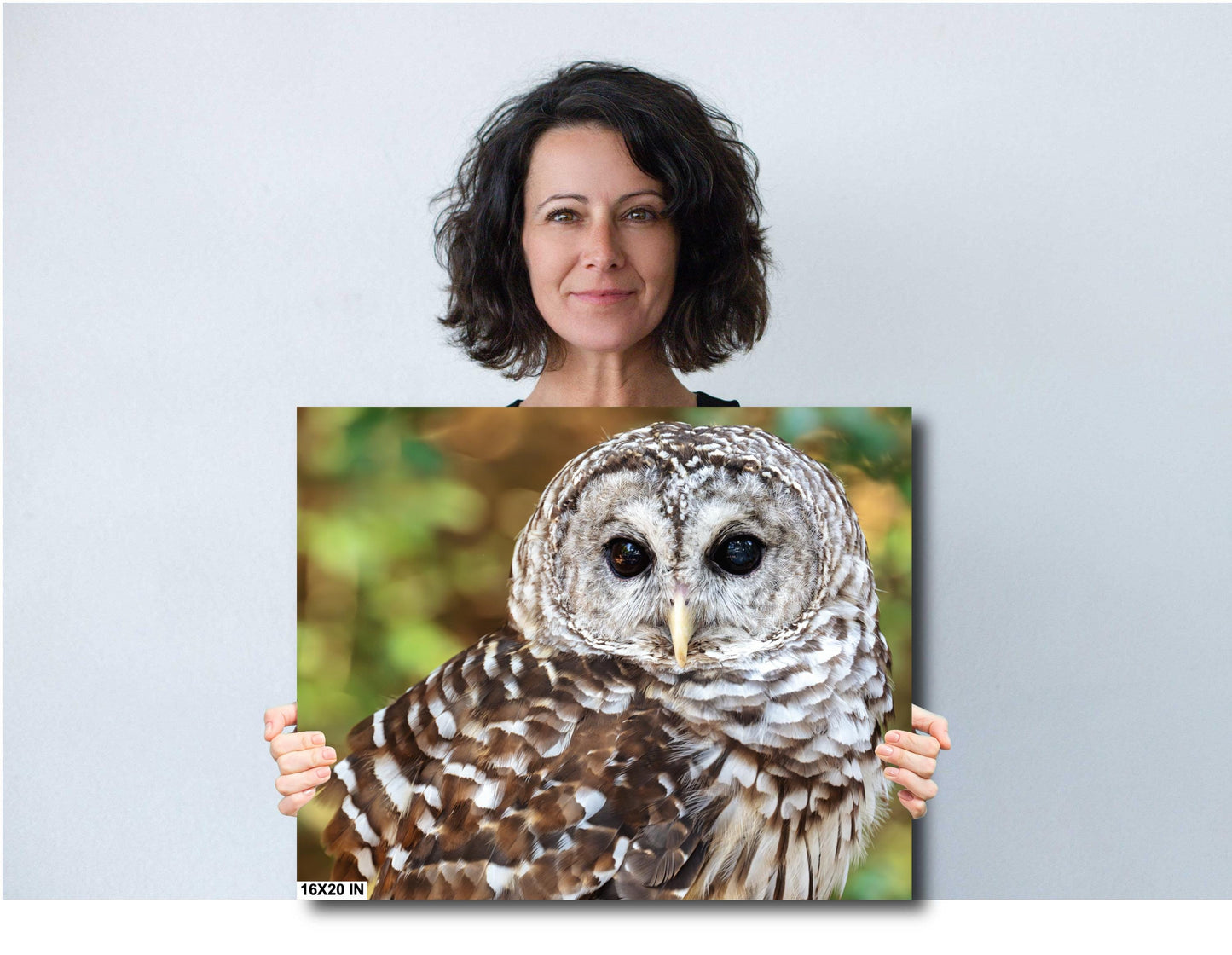 Barred Owl Portrait: Premium Photo Paper or Ready to Hang Canvas, Acrylic or Metal Wildlife Wall Art for Nature Lovers