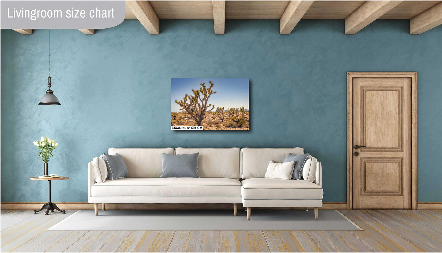Joshua Tree National Park Photo Print: Desert Sunset Canvas & Metal Wall Art Decor, Nature Landscape Decor Poster