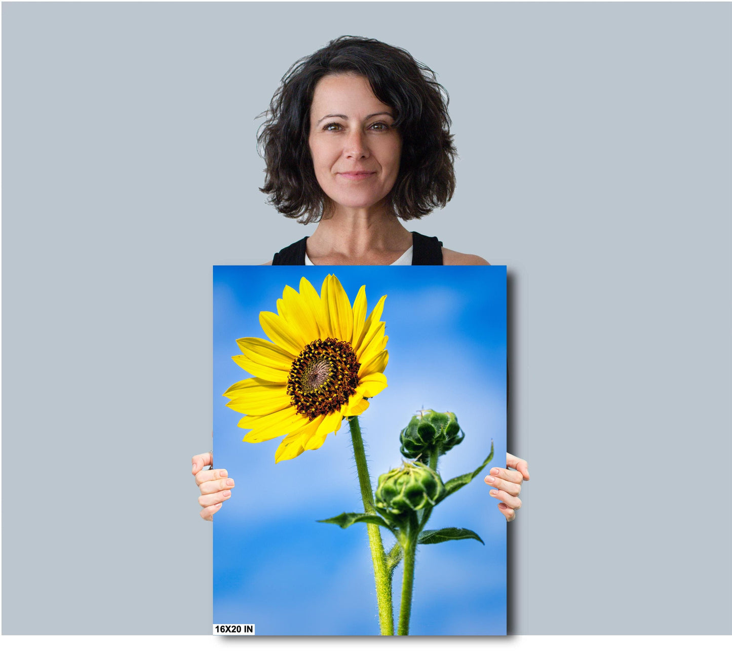 Sunflower Photography: Botanical Wall Art Print, Texas Nature Canvas, Paper, Acrylic & Metal Decor for Home or Office
