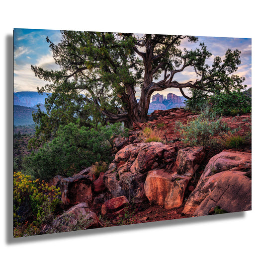 Sedona Arizona Cathedral Rock Wall Art - Red Rocks Photography Print on Premium Photo Paper, Canvas, Acrylic & Metal Decor