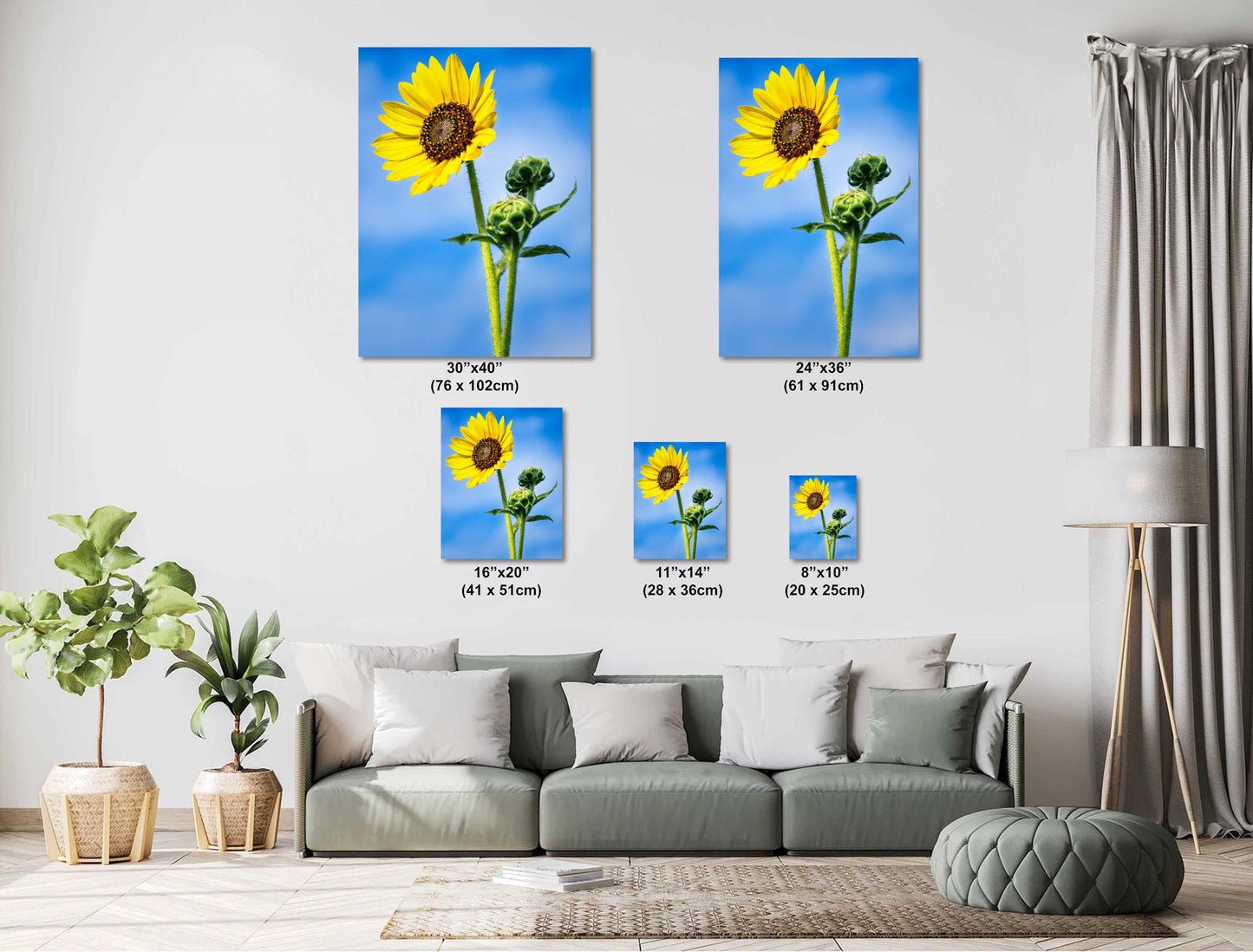 Sunflower Photography: Botanical Wall Art Print, Texas Nature Canvas, Paper, Acrylic & Metal Decor for Home or Office