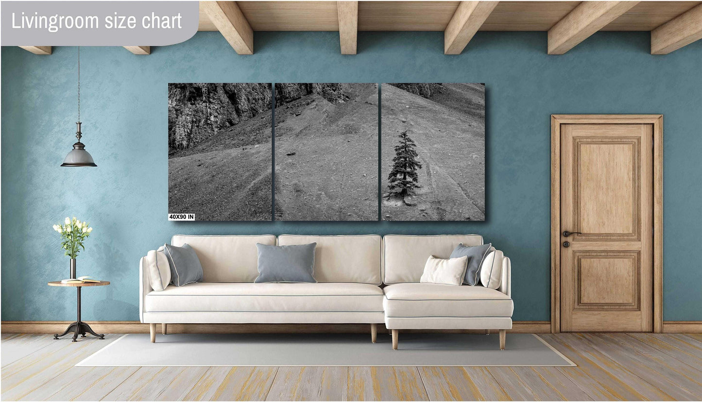 Mountain Wall Art - Lone Pine Tree in Rocky Mountains: Black & White Nature Photography Wall Art Print - Colorado Alpine Loop