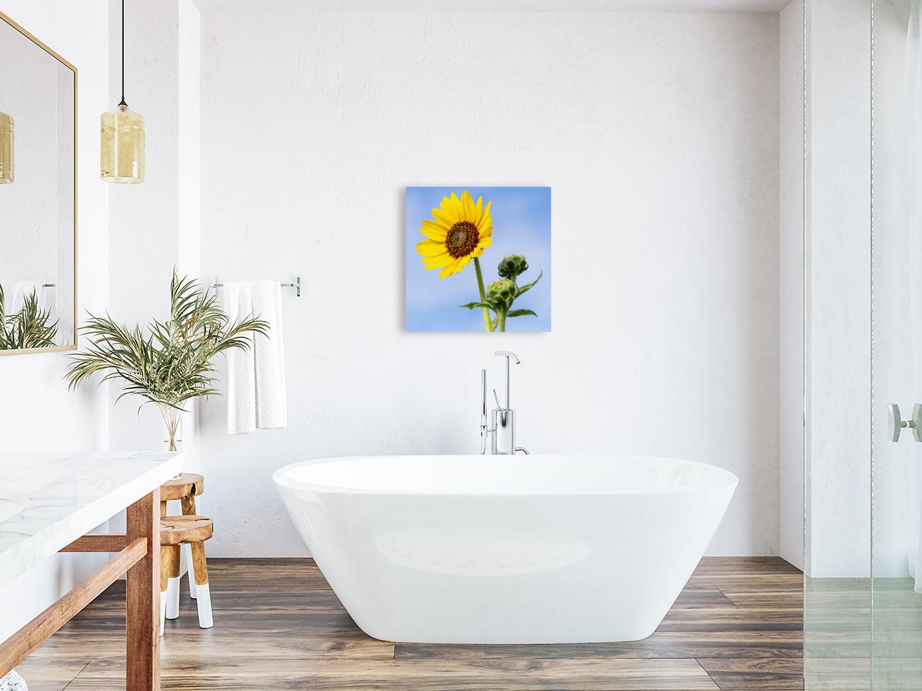 Sunflower Photo Print | Farmhouse Wall Art, Bright Nature Botanical Digital Artwork for Home Decor, Large Canvas or Paper