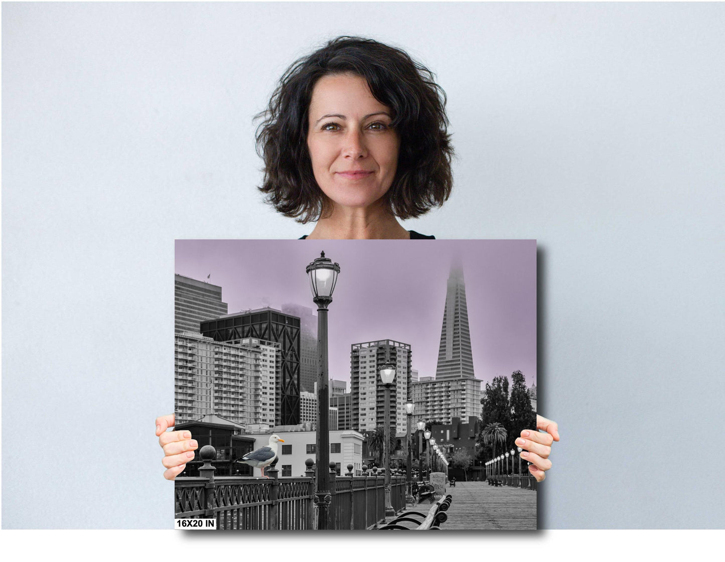 San Francisco Unique Wall Art - Foggy San Francisco Pier 7 with Transamerica Pyramid and Seagull - Urban Landscape Photography
