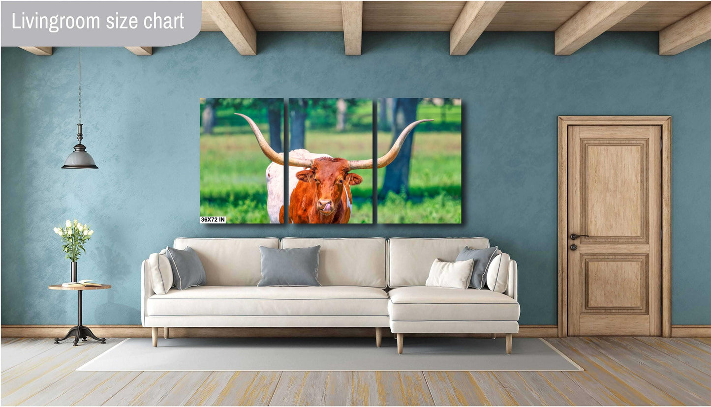 Longhorn Steer Springtime Photograph | Texas Photography Art Print | High Quality Canvas, Acrylic & Metal Options