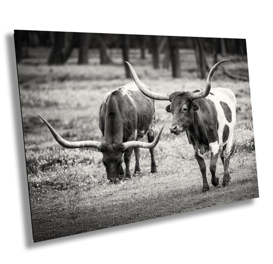 Cowboy Wall Art - Rustic Longhorn Cow Print: Modern Ranch Wall Art for Farmhouse Decor (Paper/Canvas/Acrylic/Metal)