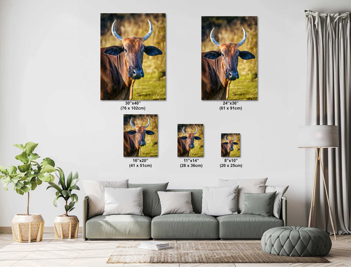 Farmhouse Wall Art - Rustic Cow Photography: Bull Print Wall Art Decor on Paper, Canvas, Acrylic & Metal