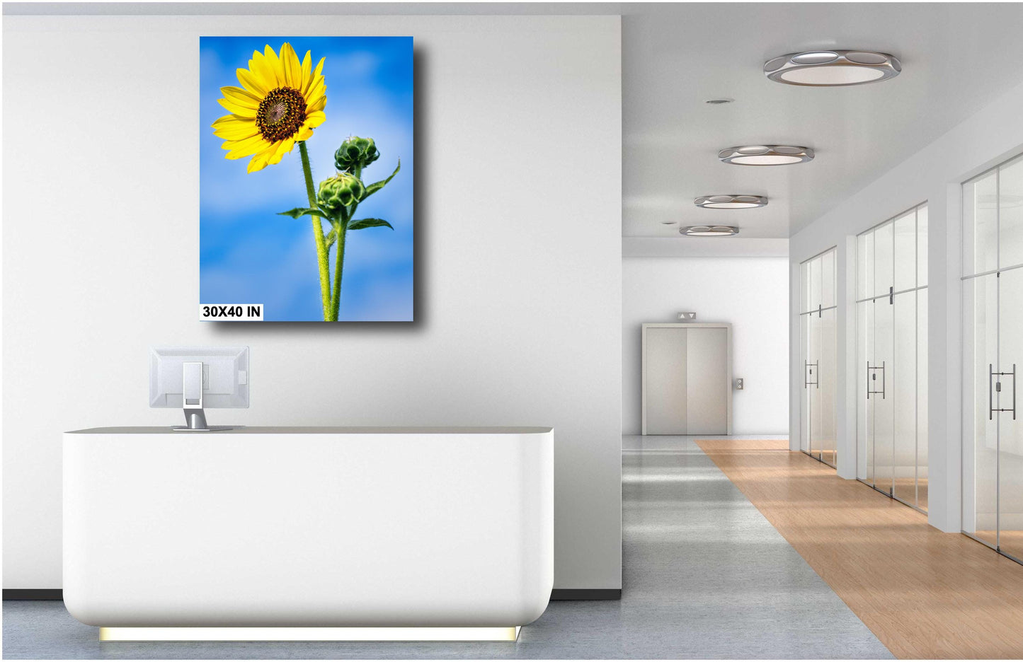 Sunflower Photography: Botanical Wall Art Print, Texas Nature Canvas, Paper, Acrylic & Metal Decor for Home or Office