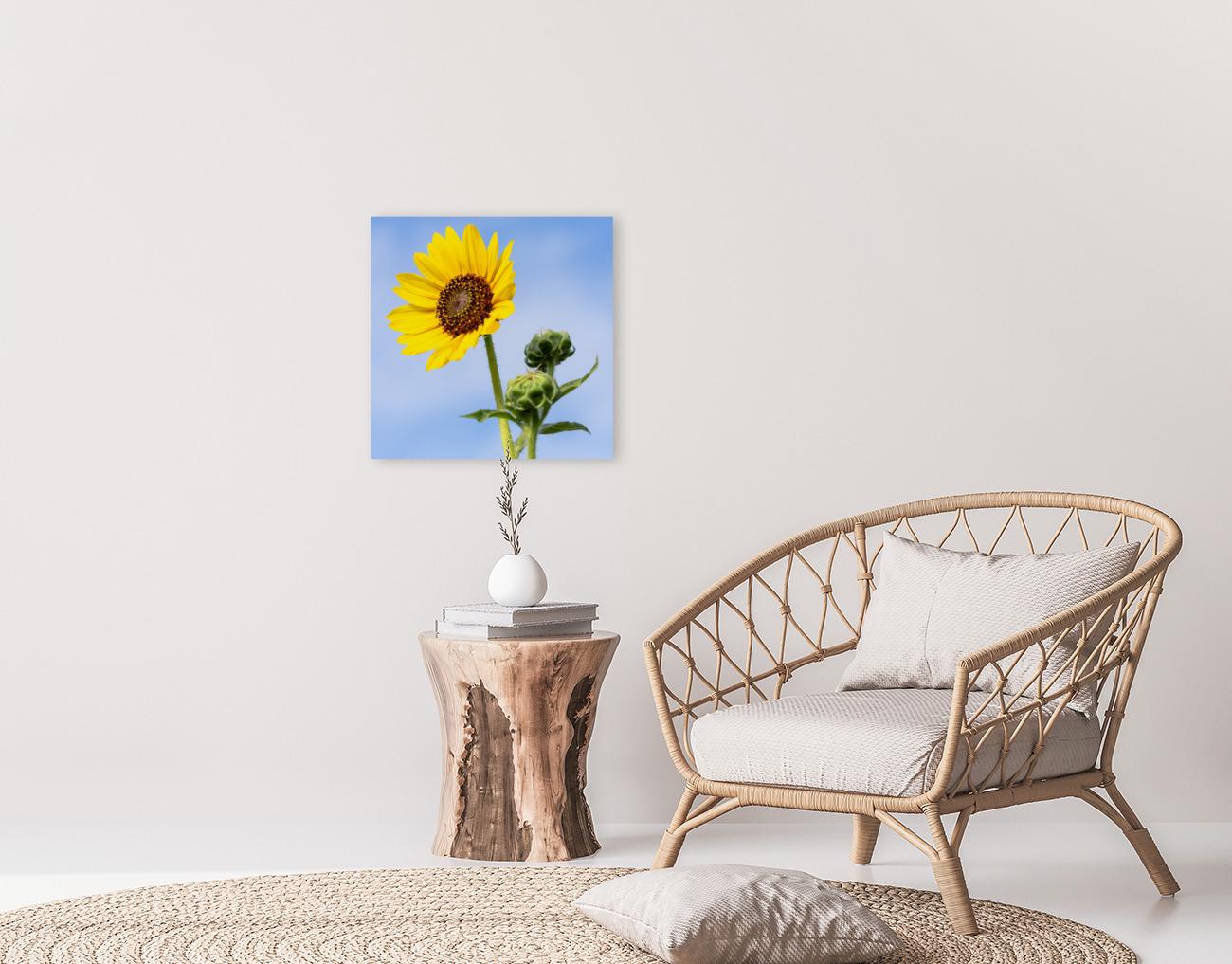 Sunflower Photo Print | Farmhouse Wall Art, Bright Nature Botanical Digital Artwork for Home Decor, Large Canvas or Paper