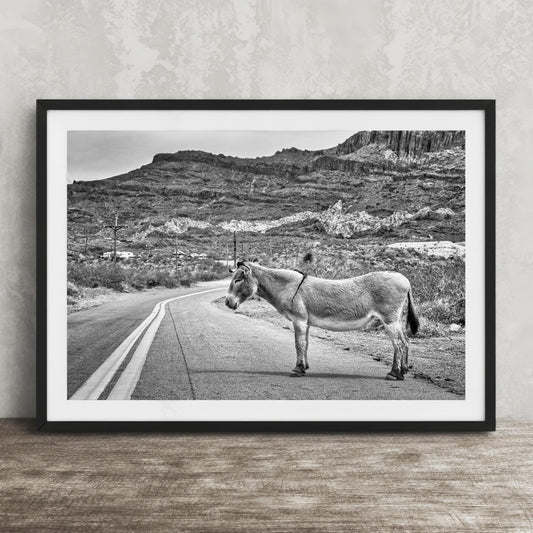 Route 66 Donkey Photo Print - Arizona Desert Art | Black & White Americana Wall Decor