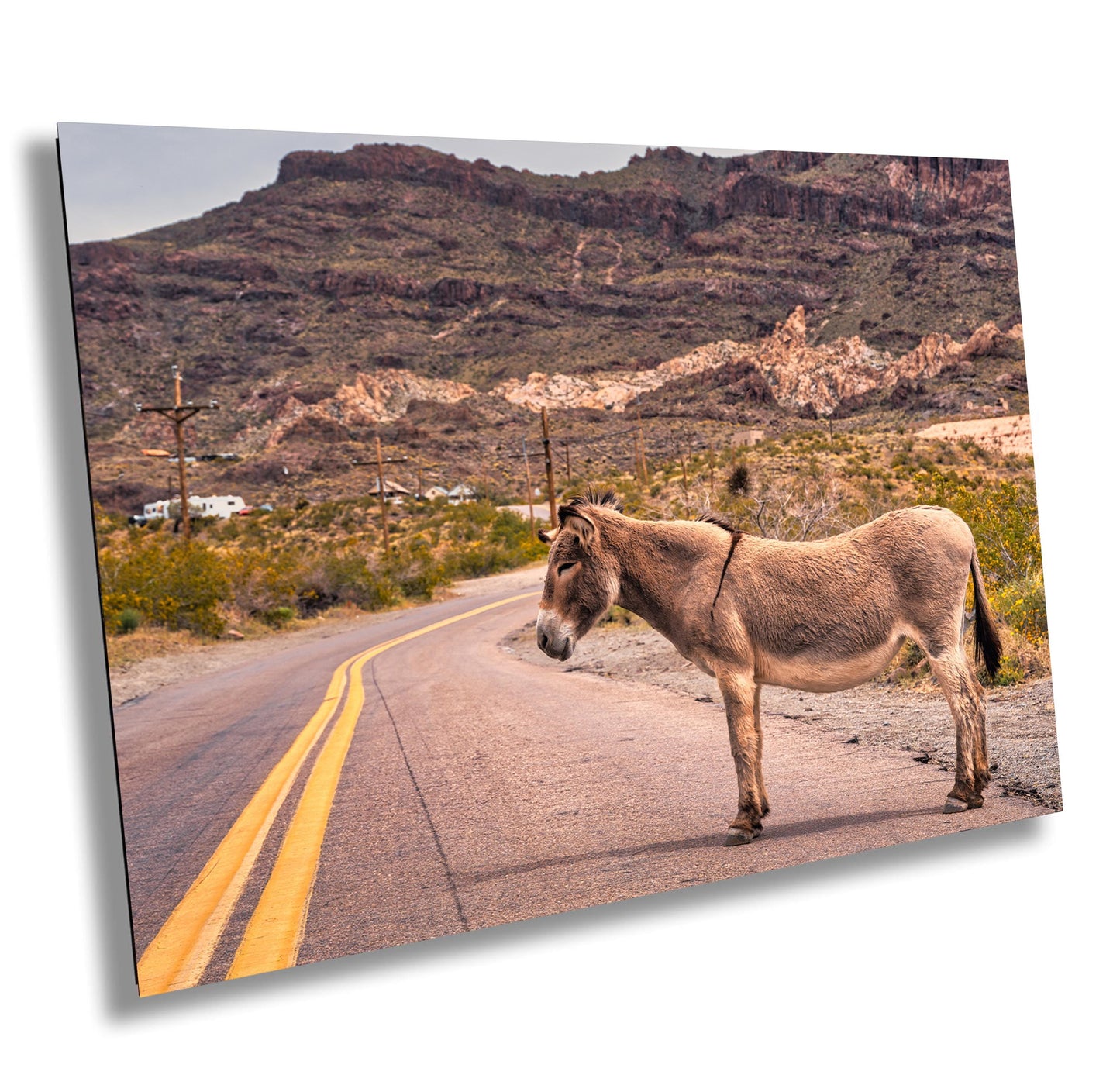 Route 66 Oatman Arizona Donkey Wall Art Print | Americana Desert Photography | Home Decor & Gifts