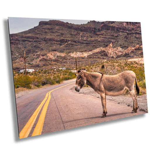 Route 66 Oatman Arizona Donkey Wall Art Print | Americana Desert Photography | Home Decor & Gifts