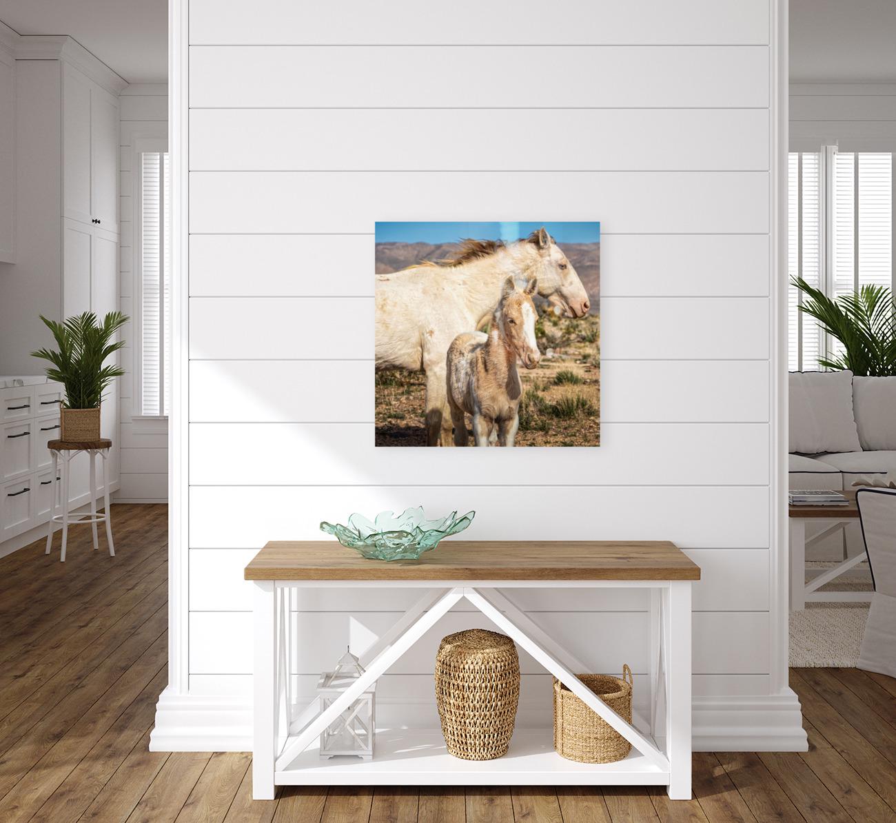 Wild Horse Photography Art Print | Wild Mare & Foal near Goodsprings, Nevada | Mojave Desert Wall Decor | Unique Horse Photo for Home