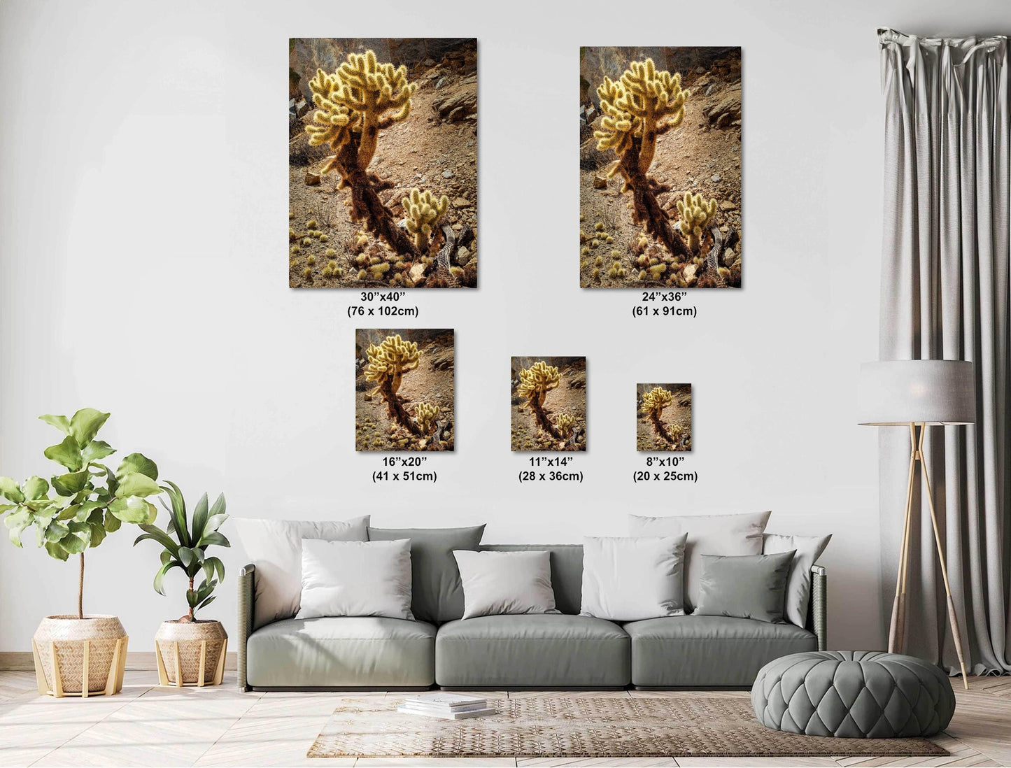Cactus Print Wall Art - Teddy Bear Cholla Photo Poster - Arizona Nevada California Desert Cactus Decor on Paper, Canvas, Acrylic, or Metal