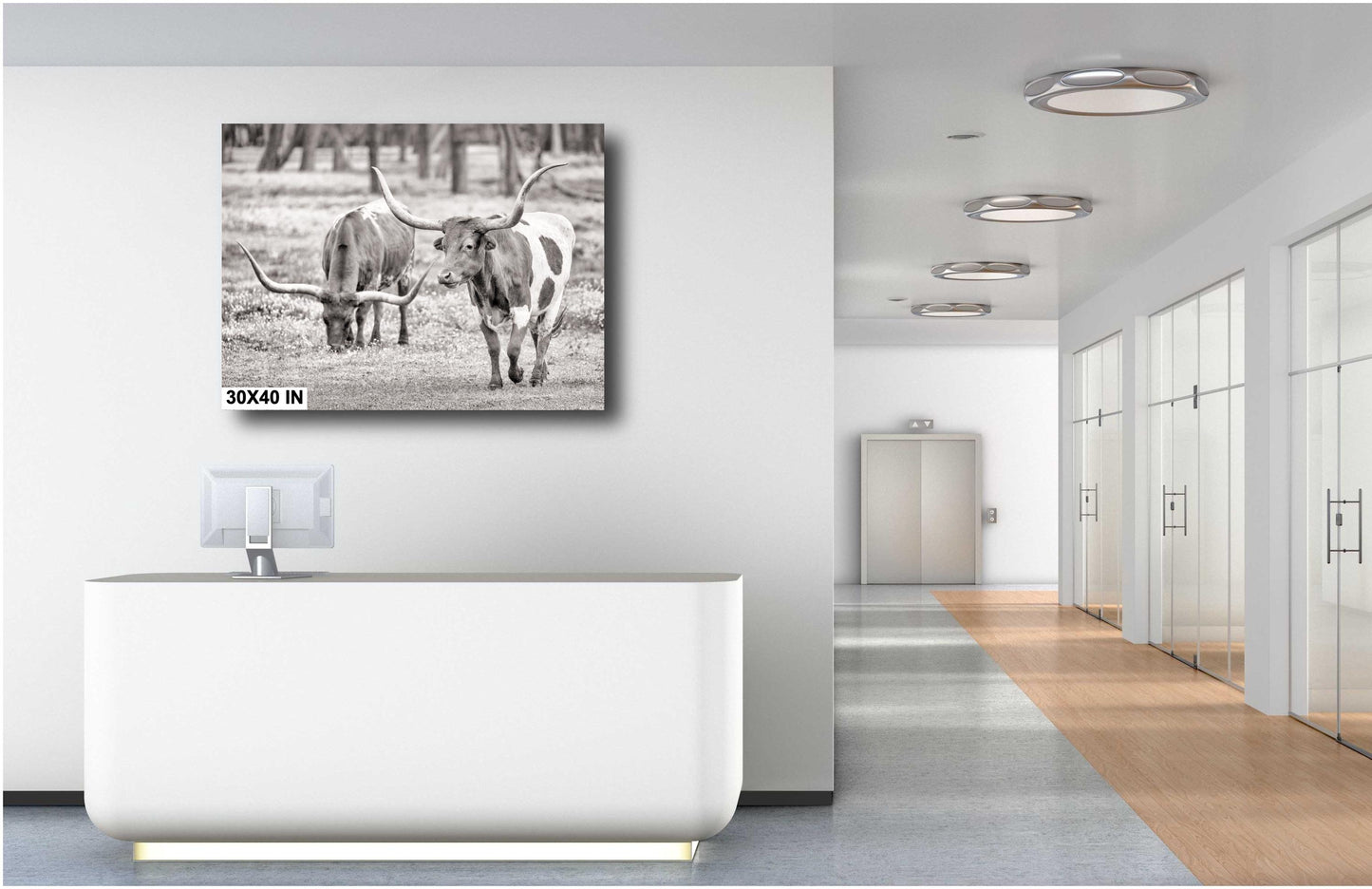 Longhorn Cow Photo | Rustic Ranch Wall Art for Farmhouse Decor | Modern Prints on Paper, Canvas, Acrylic & Metal