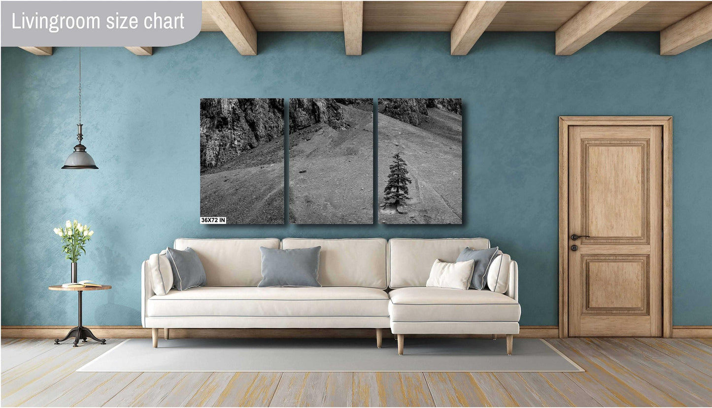 Mountain Wall Art - Lone Pine Tree in Rocky Mountains: Black & White Nature Photography Wall Art Print - Colorado Alpine Loop