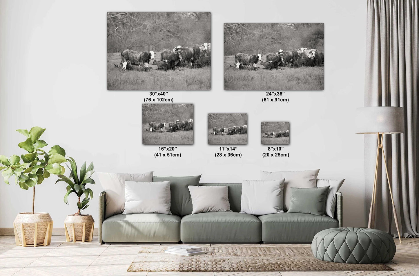Country Wall Art - Rustic Black and White Cattle Photo Print - Cows & Calves Farm Art for Country Decor in Paper, Canvas, Acrylic or Metal